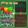 Carrot Planting Tool 12-Hole Soil Digger Garden Dibber Seeds Spacing Gardening for Easy Raised Bed Planter Box Use