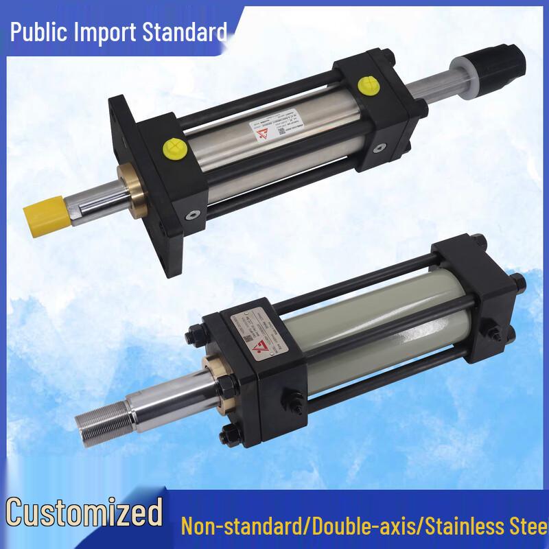 Stainless Steel Double-Acting High-Temperature Hydraulic Cylinder