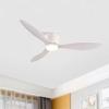 IRALAN Modern LED Ceiling Electric fan with Light DC Motor, Large Air Volume, Remote Control for Kitchen, Bedroom, Dining Room