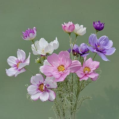 3 Pcs No Fade Faux Artificial Galsang Flowers Vivid Luxury Big Galsang Branch Silk Fake Floral Fake Plants for Wedding Home Party Indoor Outdoor Decor
