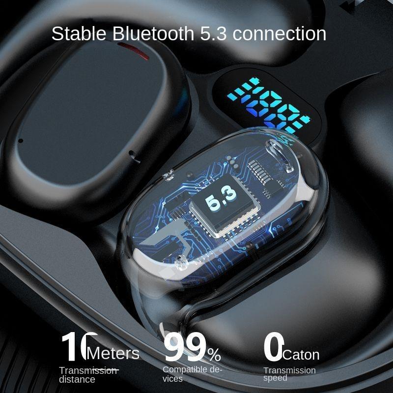 Language Translator Earbuds Multifunction Noise Reduction 144 Kinds Languages Real Time Translation Headphone Translator Earbuds