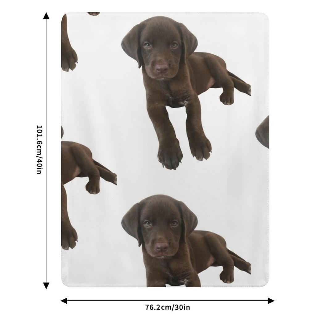 Schokoladen Labrador Überwurf Weiche Komfortdecke zum Lesen Fernsehen