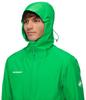 Mammut Alto Light HS Hooded Jacket Men (1010-30660) pinea