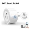 Home EU Plug Outlet 20A High Power Socket Voice Control Remote Timers With/Without Energy Monitoring