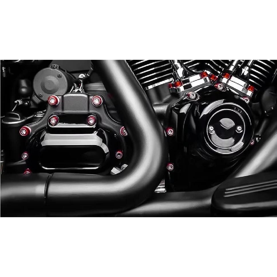 Motorcycle Engine Bolt Kit Cylinder Bolts Screw Head Cap Cover For Harley M8 Softail Fat Boy Low Rider 18-2025 Touring 2017-2025