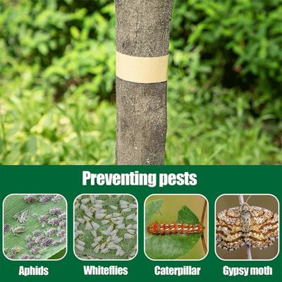 1/2 Piezas Cintas Barrera para Insectos de Árbol Extra Largas Impermeables Fáciles de Usar Adhesivo Fuerte Cintas Protectoras Envolventes para Árboles a Prueba de Insectos