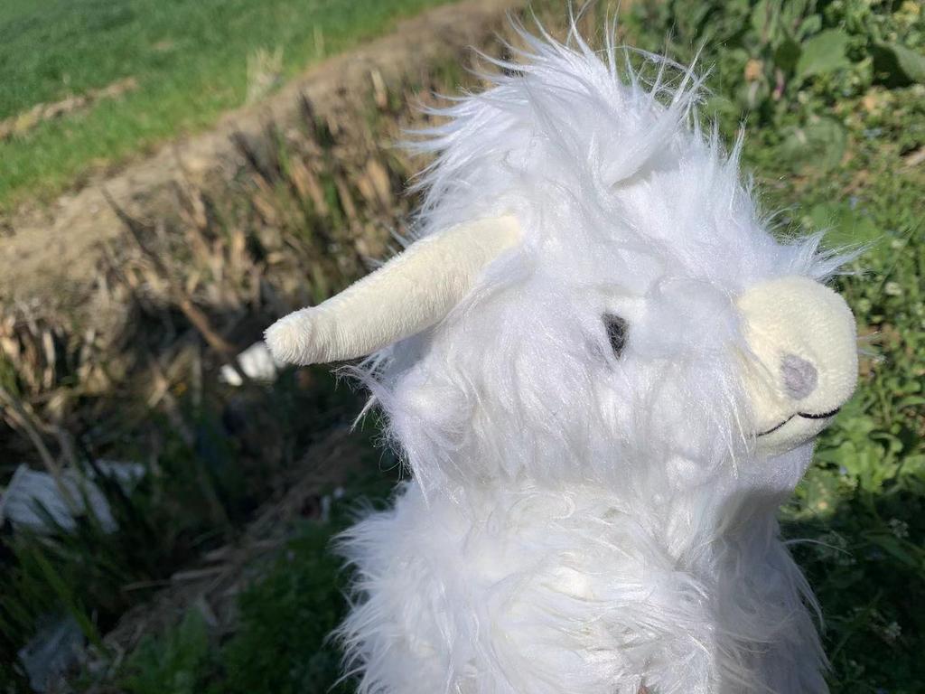 Simulace Skotská vysočinská kráva Plyšové zvířátko Panenka Měkká plyšová hračka Skotská vysočinská kráva Kawaii Dětský dárek Hračka Domácí pokoj Dekor