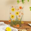 Pressed Flower Frame Acrylic Keepsake Home Decor Dried Flowers Display Photo Frames For Home Living Room Kitchen Bathroom Office