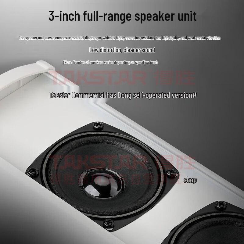 TAKSTAR Professional Constant Voltage Wall-Mounted Column Speaker