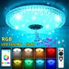 Smart LED Ceiling Light Dimmable RGB Bluetooth Remote Control Music Lamp Acrylic Ceiling Lamp Night Lamp for Family Decorative