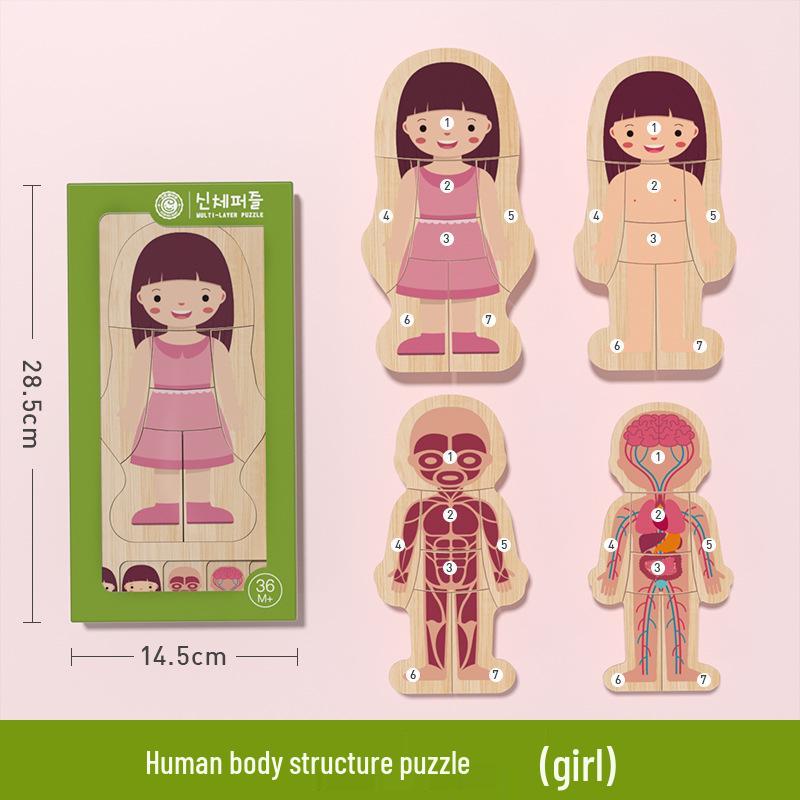 GoryeoBaby Wooden Human Body Puzzle - Children's Educational Toy
