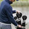 Golf Club Cover: Wood & Driver Fairway 13UT Cover