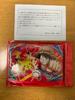 Weekly Shonen Jump Pokemon One Piece Mega Evolution Postcard Luffy Pikachu