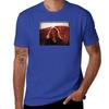 Ty Segall Manipulator T-Shirt Blacks for a Boy Mens Workout Shirts