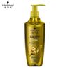 Ginger Essence Oil Control Shampoo