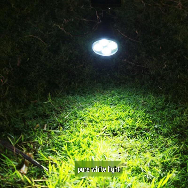 Solar Garden Path Light