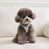 Bai Bong Puppy Light Bear Harness, Sky Blue