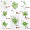 Artificial Palm Branches Plants Leaf Green Simulated Plants Palm Leaves Long Branch Tropical Fake Plant Garden Balcony Decor