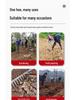 Nine-Tooth Manganese Steel Rake: Soil Loosening, Grass Raking, Weeding, and Hoeflatting Agricultural Tool.