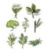 Brooch Versatile Botanical Leaf Design Brooch with Glossy Fade-Resistant Finish Sweaters Scarves Handbags Hats Safety Pin