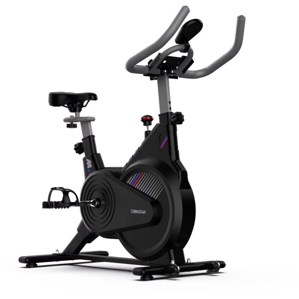 Silent Indoor Exercise Bike: Dynamic Home Fitness Equipment