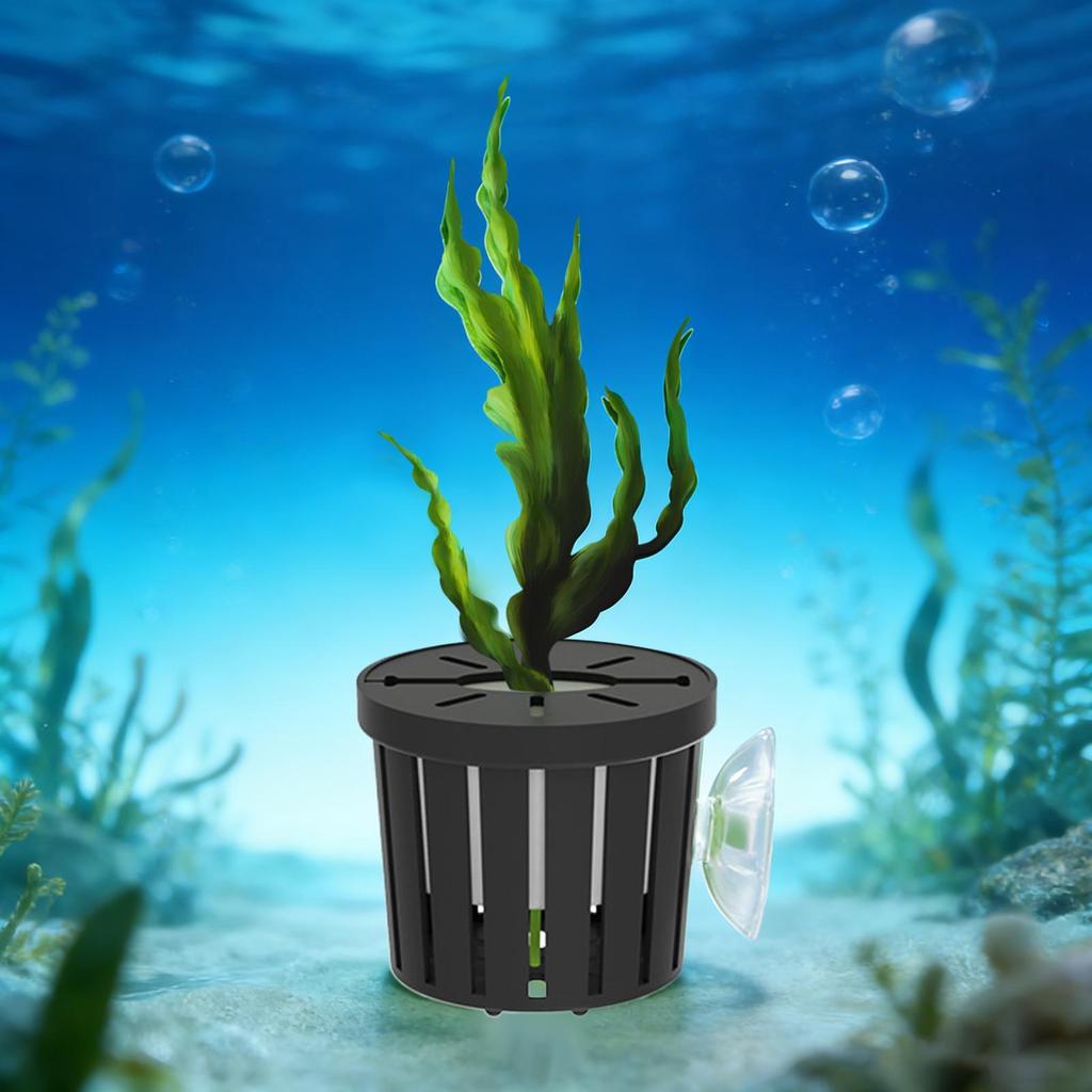 4 Stück Aquarium Pflanztopf mit Schwamm Saugnäpfen Für Heim-Fischtank Pflanzenhalter für Betta Garnelen Süßwasser