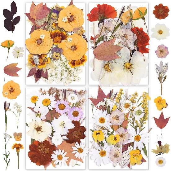 Pressed Flowers Bulk Dried Flowers for Crafts,Real Natural Pressed Flowers Dry Leaves Kit for Crafts Resin Mold Jewelry Candle Soap Making