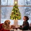3 FT Dark Green Wall Christmas Tree with Lights & Ornaments, DIY Half Tree for Window/Door, Pet-Friendly Holiday Decor