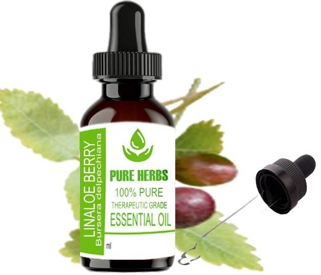 Pure Herbs Linaloe Berry 100% Pure Bursera Delpechiana Essential Oil Glass UKZA 601