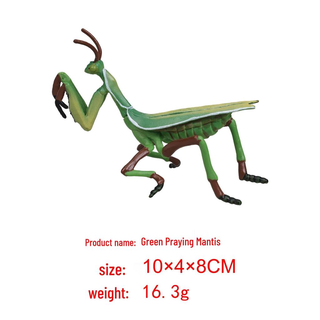 "Wildes Meerestier Simulationsmodell": Kinder Bildungs-Heimdeko-Spielzeug"