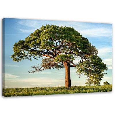 Canvas Print, Big Tree