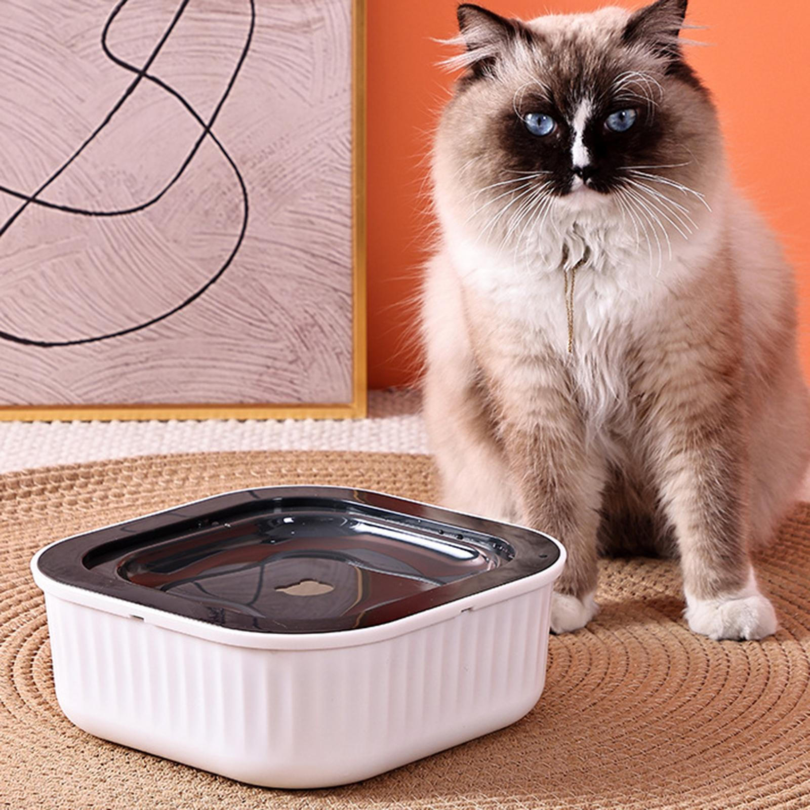 

Миска для воды для собак, приподнятая кормушка для домашних животных с плавающим диском, без медленного разбрызгивания, для уличного котенка белый