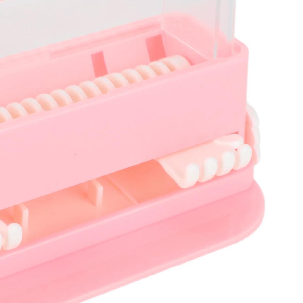 Applicator Holder Box Transparent Large Capacity Plastic Dental Applicator Brush Dispenser