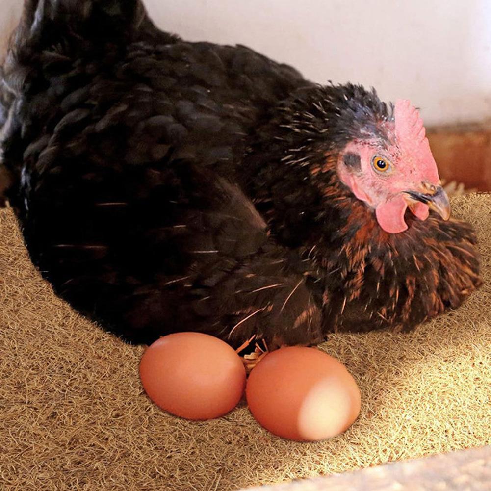 25cm/30cm Coconut Fiber Chicken Nesting Pad Washable Hen Nest Mat Thick Shock Absorbing Soft Egg Laying Mat for Poultry Coop Nesting Box