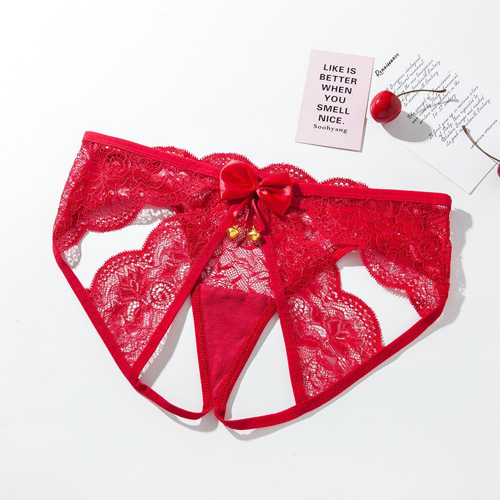 Passionate Lace Crotchless Mesh Panties