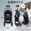 Pigeon Felice A-Type Double-Facing Stroller In Ivy Gray - A Stroller Packed with Everything You Want - Online Exclusive
