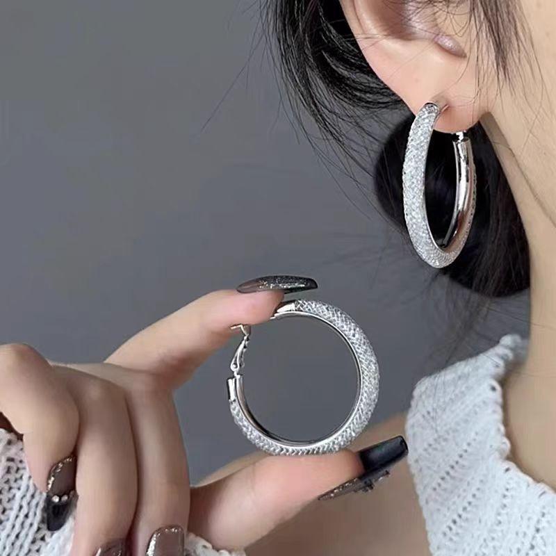 

Exaggerated Mesh Crystal Zircon Geometric Big Earrings S Silver Needle Circle Earrings Earrings 925 silver needle