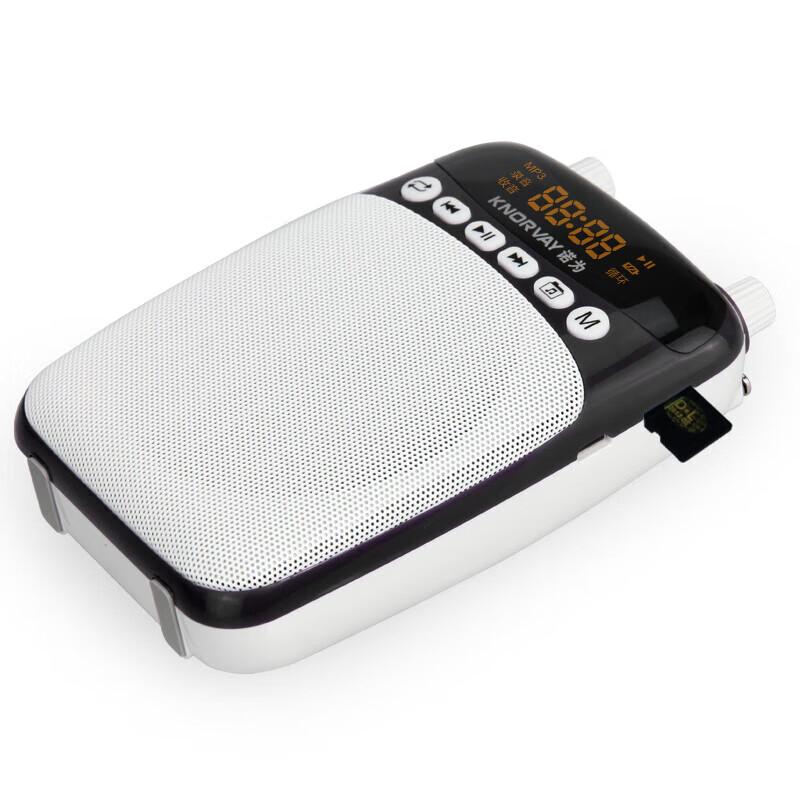 Portable Wireless Voice Amplifier for Teachers CN Plug (adapter Included)