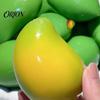 Stress Relief Toy Crunchy Mango Squeeze Ball, Color Changing Fidget with Crisp High-elastic Sound, High Elastic Decompression for Anxiety Relief,