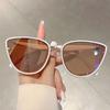 Casual Vintage Cat Eye Sunglasses Coated UV400 Sun Glasses Trendy Gradient Lens Protective Eyewear for Women & Men