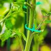 Plastic Reusable Cable Ties Flexible Plant Support Clips Plant Twist Ties  Vine Support