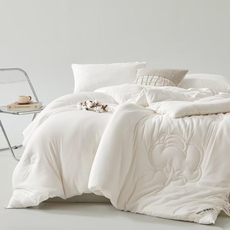 Brangdy Warm Winter Cotton Quilt