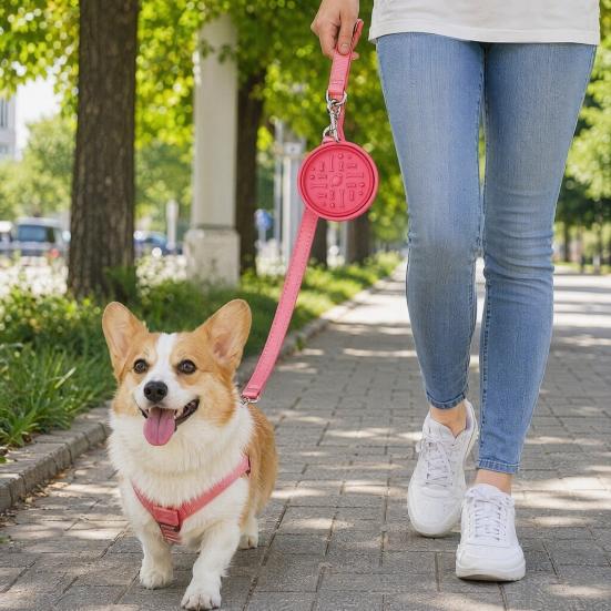 Foldable Pet Bowl Portable Slow Feeder Bowl with Suction Cups Non-Slip Silicone Collapsible