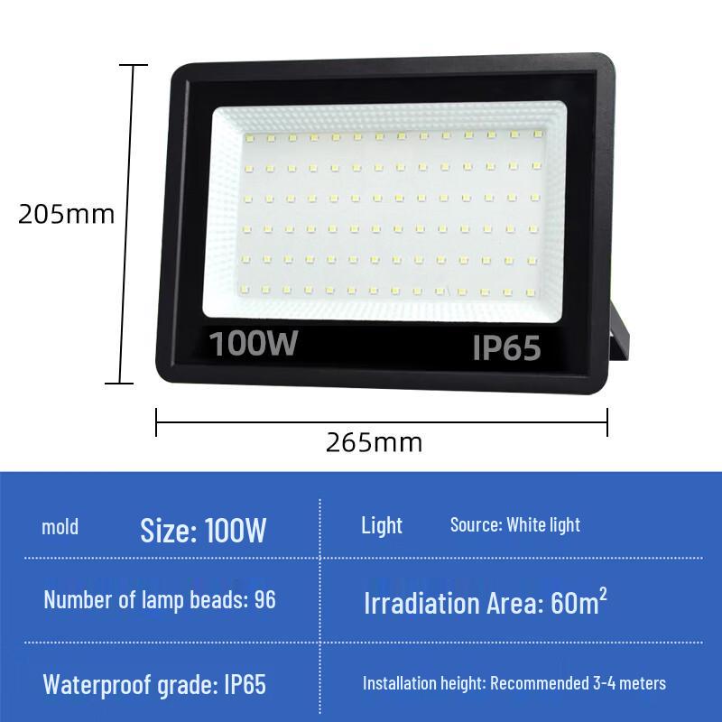 Biuyum 100W LED Outdoor Floodlight