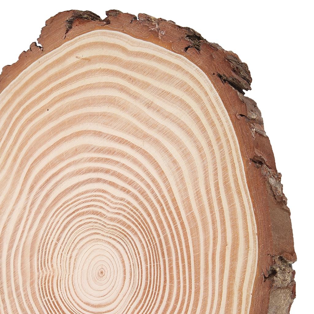 Natural Wood   Unfinished Wood Circles Ornaments Irregular Wood   with Bark