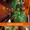 10 LED Solar String Lights Warm White Weatherproof Hanging Bulbs Garden Patio Light Backyard