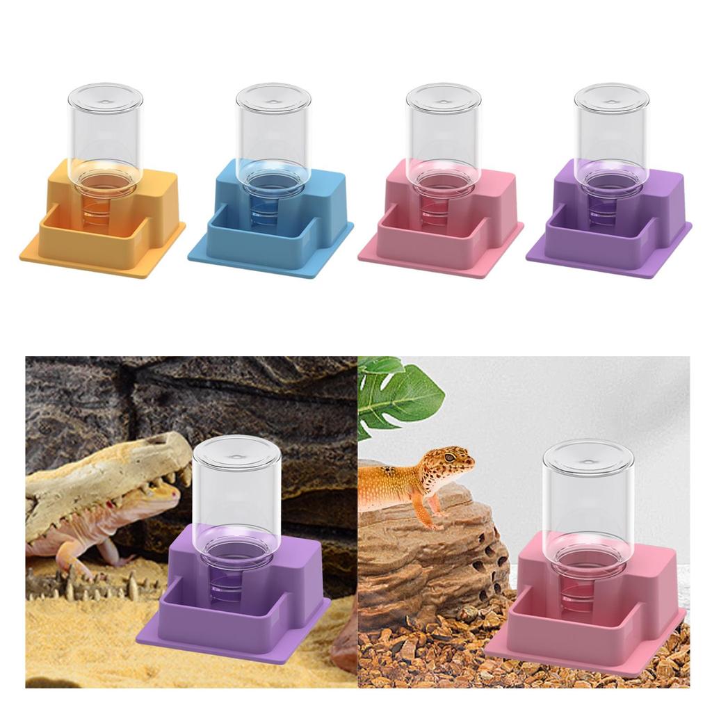 Reptile Feeder Automatic Water Dispenser with Bottle Versatile Terrarium Decor Turtle Water Dish for Frog Gecko Reptiles Snake