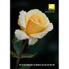 Nikon High Magnification Zoom Lens AF-S DX NIKKOR 18-300mm f/3.5-6.3G ED VR for Nikon DX Format