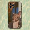 Animal Sphynx Cat Phone Case For iPhone 16,15,14,13,12,11 Plus,Pro Max,XS,X,XR,SE,Mini,8,7,Soft Silicone Black Cover
