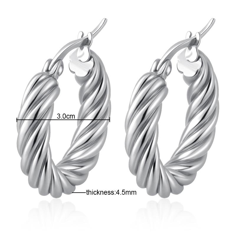 Classic Fashion Round Stainless Steel Twist Hoop Earrings For Women 4.5mm Thick Ear Buckle Gold Copper Color Earrings Zircon